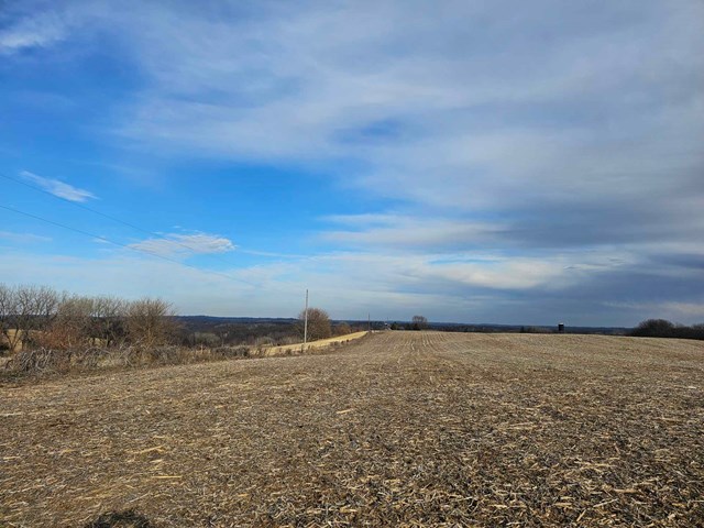 property listing